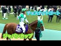 ジャパンカップ　チェスナットコート　オシャレでかっこいいよ　東京競馬場