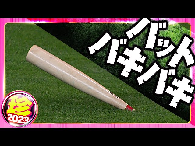 【行方にご注意を】バットバキバキ