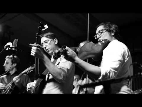 The Lost Pines - Harvest Moon (live @ Cactus Cafe)