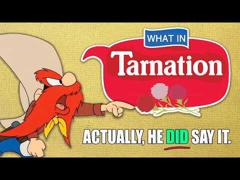That One Time Yosemite Sam Said "What In Tarnation?" | New Mandela Effect | LTC Quickie