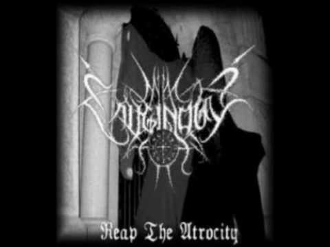 Caliginous - The Void of the Funerary Reich