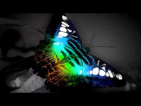 Jule - Tvardovsky Remix
