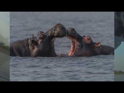 Beyond The Pixels Photography video.