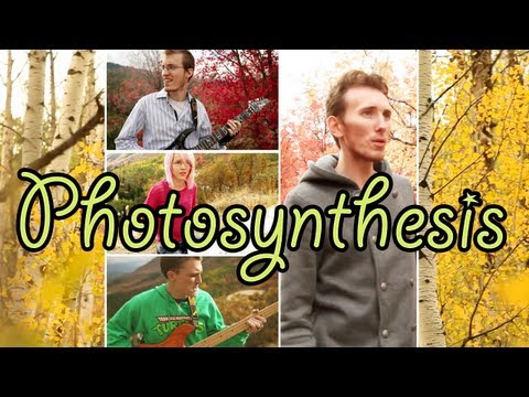 Bloom - Photosynthesis (Official Music Video) - Photosynthesis
