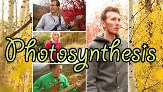 Bloom - Photosynthesis (Official Music Video) - Photosynthesis