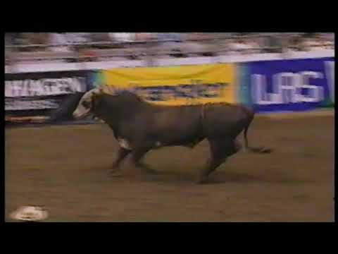 Hard Copy bucks Reed Corder - 98 PBR Columbus