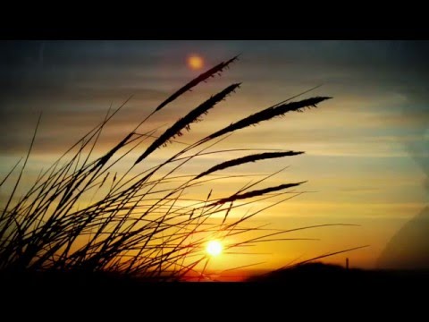 “Everything you can imagine is real.”  ― Pablo Picasso #QUOTES