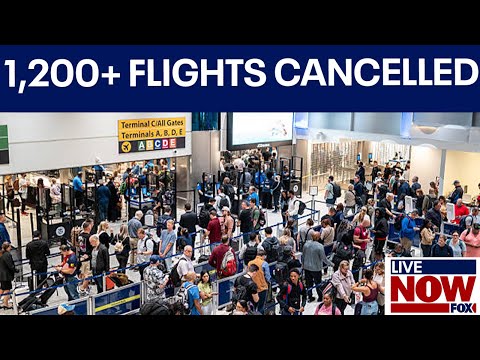 Video | 1,200+ flights cancelled, hundreds delayed amid shutdown