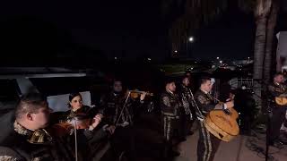 Mariachi Mi Ciudad - Tu Ingratitud (Vicente Fernandez)