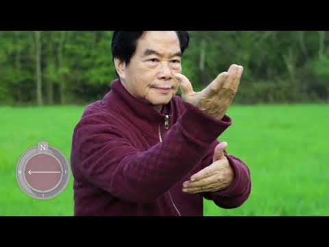 Tai Chi with Master Mantak Chia - Beginner to Intermediate - Yang Style Short Form