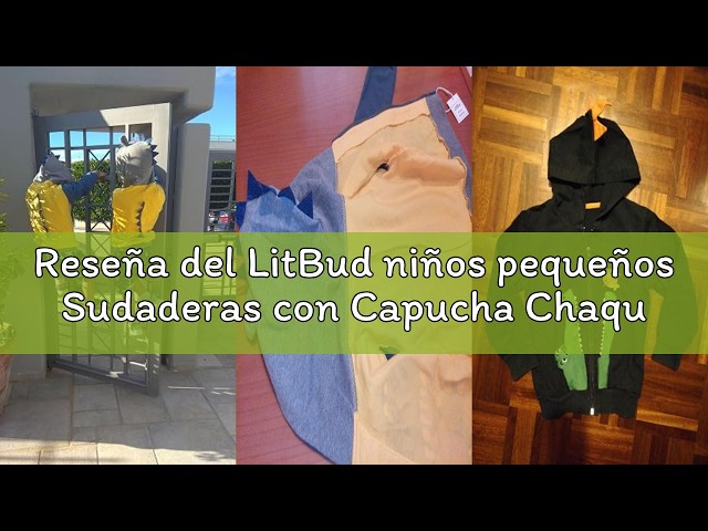 Vídeo relacionado con Blbcyny Sudadera con capucha de dinosaurio para mujer, informal, de manga larga, diseño de dibujos animados