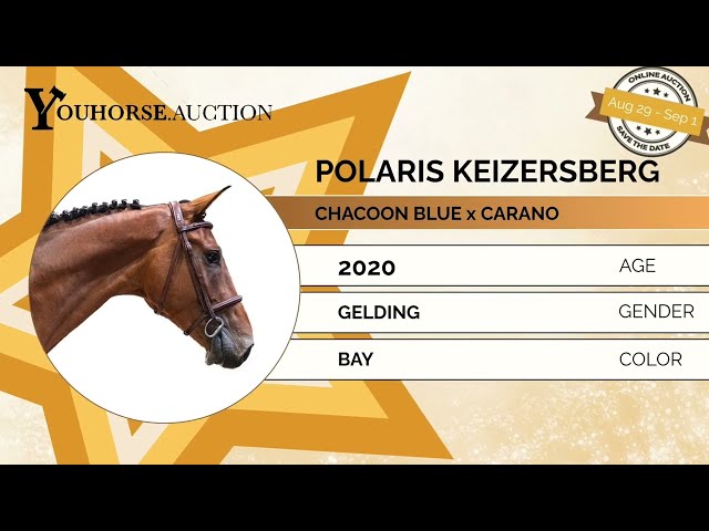 Polaris Keizersberg