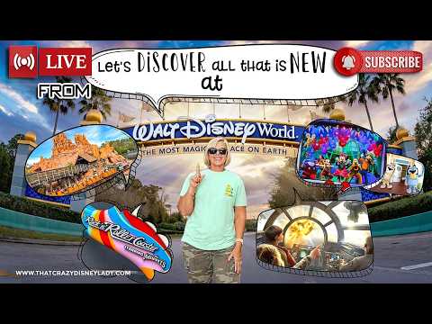 Live webcam of That Crazy Disney Lady