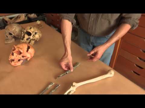 Le pré-Néandertalien de Tourville