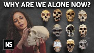 Ancient Human Species We Once Co-Existed With