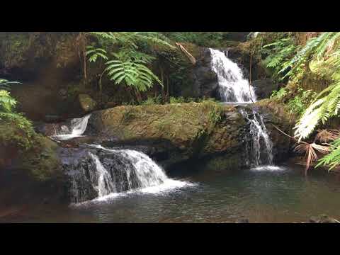 Onomea Falls, Hawaii Tropical Botanical Garden