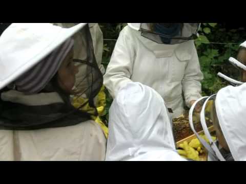 Kvinnligt nätverk SBR - Nominerad till Årets Jämställdshetssatsning på landsbygden 2010