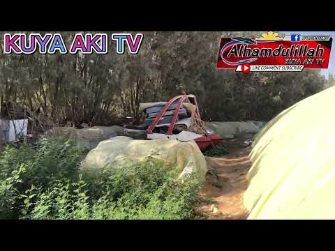 Flower from Unaizah AL Qssim Saudi Arabia 🇸🇦