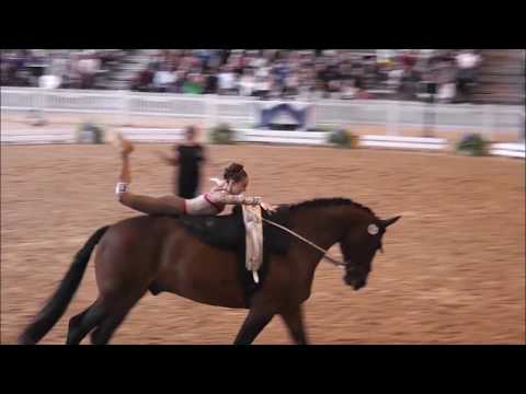 Deutsche Jugendmeisterschaften München 2018 - Voltigieren - Alina Roß