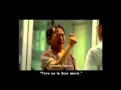 wethekings’s Video 18355624391 mLryFVsfJAM