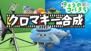 きょうのコバきち  グリーンバックでクロマキー合成！うまくいくかな？