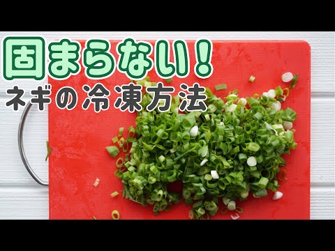 ネギの冷凍:これが最良の結果を得る方法です 植物
