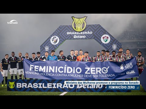 Ministra das Mulheres apresentou Programa Feminicídio Zero na CDH