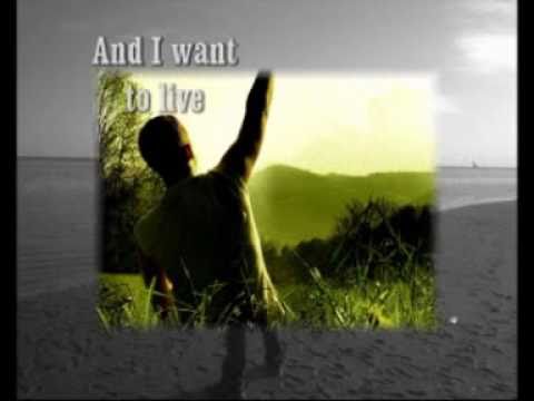 The Way I Was Made - Chris Tomlin