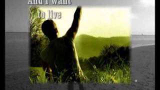 The way I was made - Chris Tomlin - With lyrics