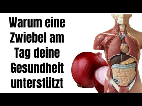 Warum bereits eine Zwiebel am Tag deine Gesundheit unterstützt!