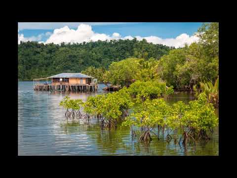 BLVCK CEILING - Into The Wild (Extended)