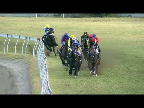 31eme journée - Race 8 - Manetheren