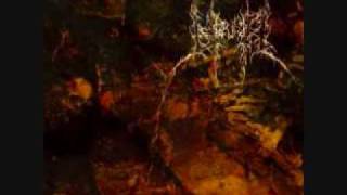 URNA(Ita)  - Fundamentum Et Factum