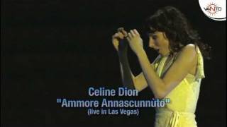 CELINE DION canta in Napoletano - AMMORE ANNASCUNNUTO (Live in Las Vegas)