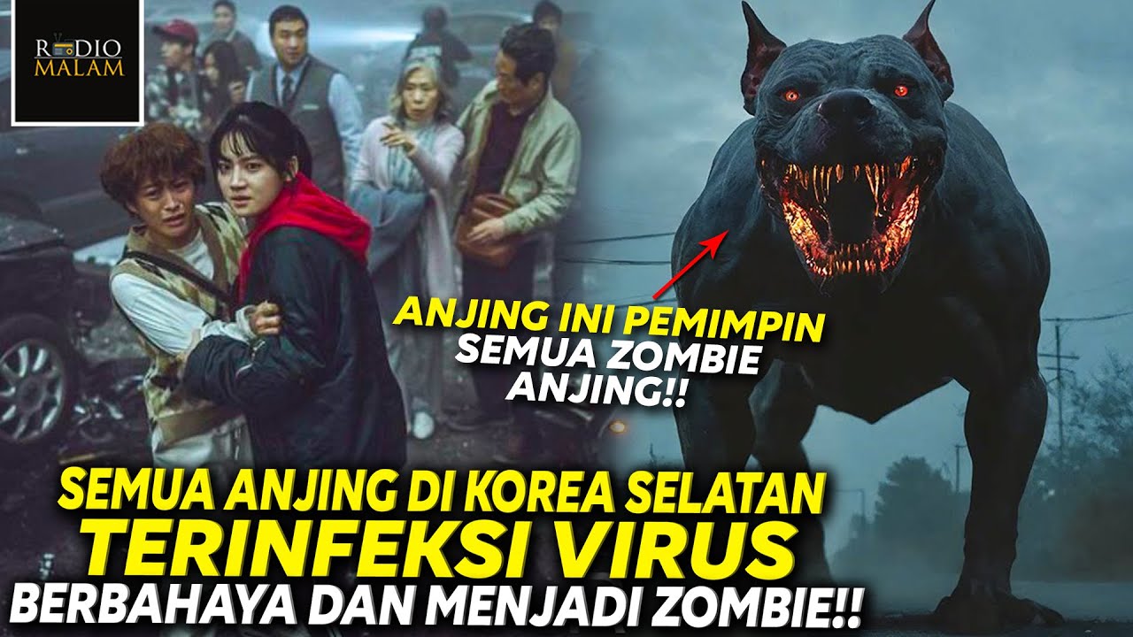 SEMUA ANJING ZOMBIE DI KOREA MENGAMUK - Alur Film PROJECT SILENCE (2024)