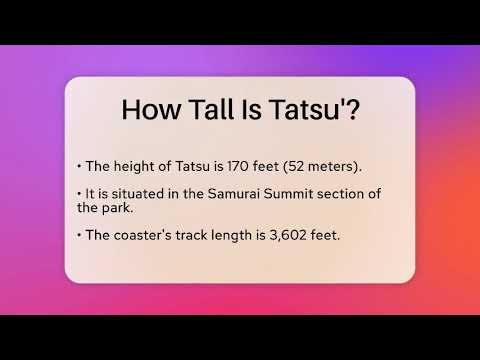 How Tall Is Tatsu'? - Insider Theme Park Tips