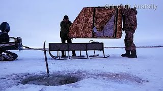 Ссылка