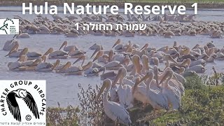 Hula Nature Reserve