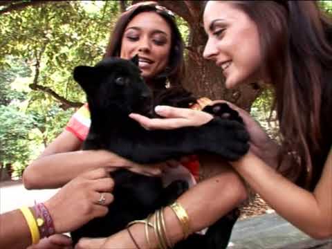 Top 10: 2007 Miss Universe