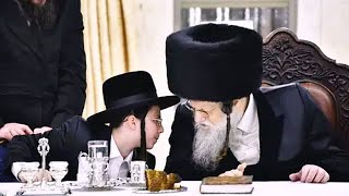 בר מצווה באווירה של הילולא: שמחת בית מודזי׳ץ-שמחת הבר מצווה לנכד האדמו״ר בשילוב טיש יאורצייד