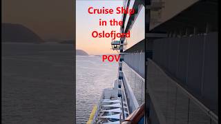 Cruise Ship in the Oslofjord #norway #cruiseship #cruise #cruisetour #cruiser #oslo #cruiselife
