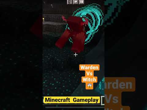 Minecraft: Did the Witch’s Spell Work on the Warden? 🫣