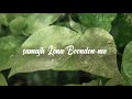 ️main Rahoon Ya Na Rahoon Lyrics Love Song For Status ️ Main Rahoon Ya Na Rahoon