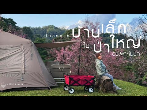 โครงการบ้านเล็กในป่าใหญ่ดอยคำ