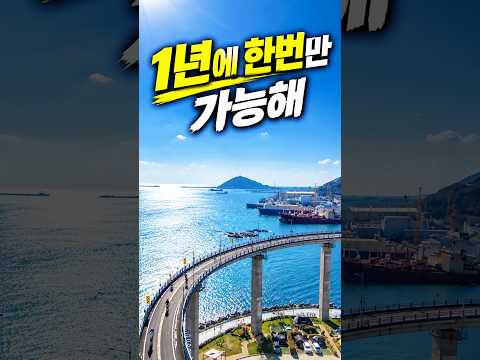 부산항대교 회전램프 #세븐브릿지 #1년에한번