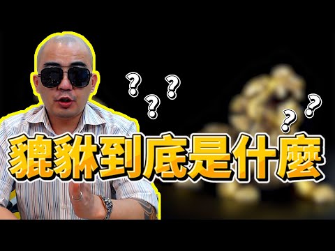 貔貅是什麼