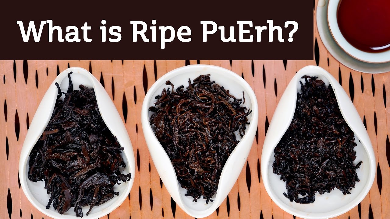What is Ripe PuErh Tea? - YouTube