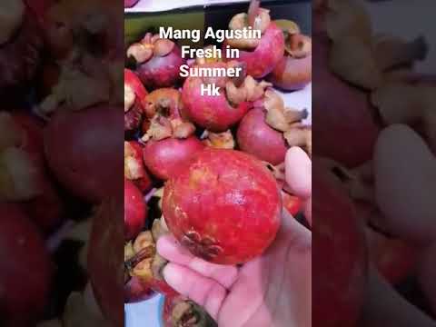 #maggustin#fruits#summer