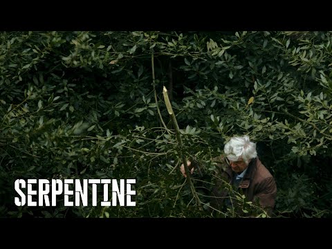 "A tree’s body is itself a sculpture.” – Artist Giuseppe Penone in his Turin studio | Serpentine