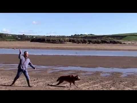 Deleuze for the Desperate #7:  lines of flight